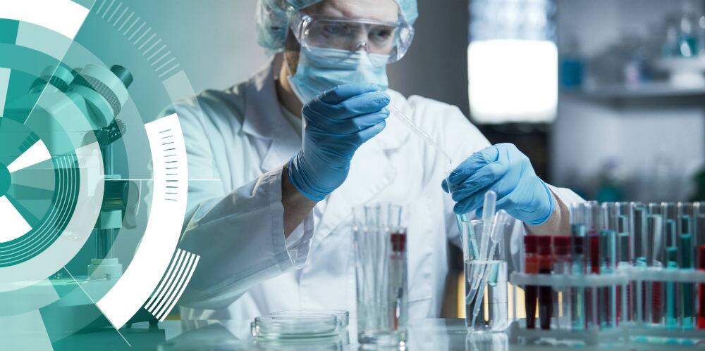 lab